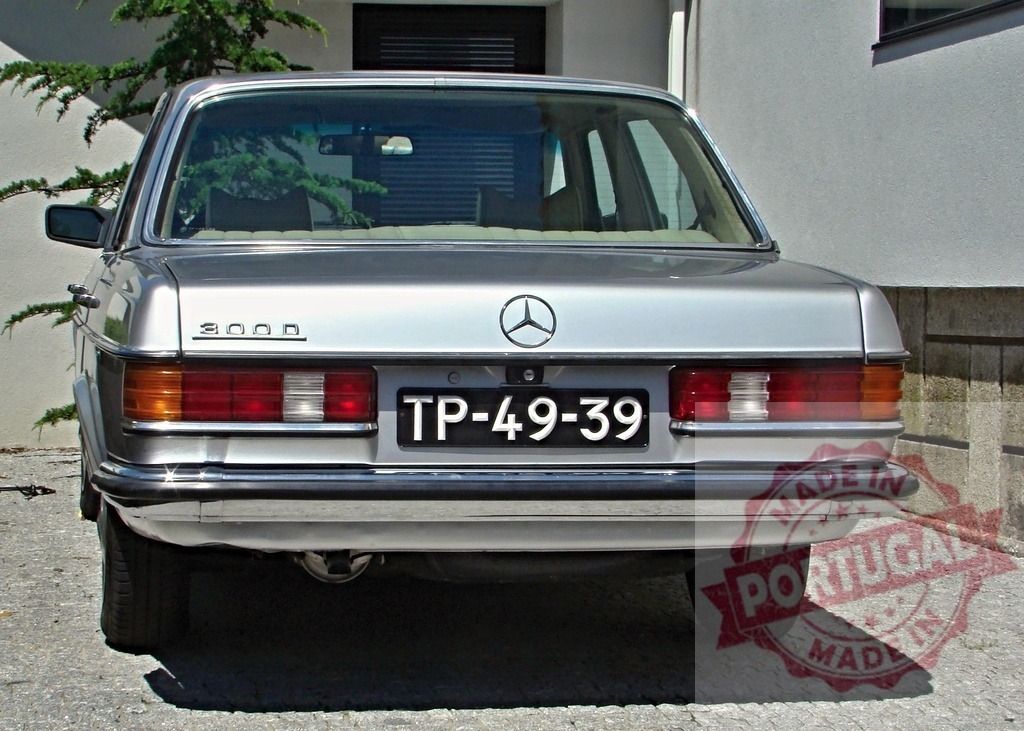 Silver Mercedes-Benz 300D parked in driveway | Rear view of a silver Mercedes-Benz 300D parked in a driveway - Realisiert mit Pictrs.com