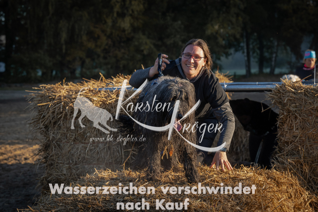 0905_ZZ91103 | kk-dogfotos