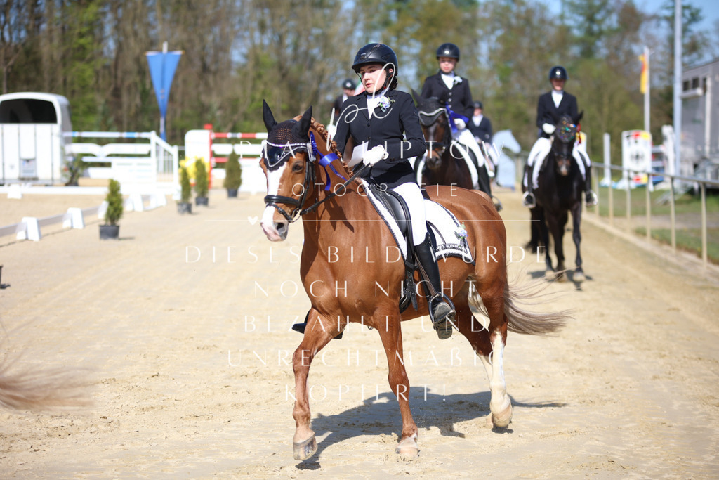 IMGT2424 | pl-fotografie