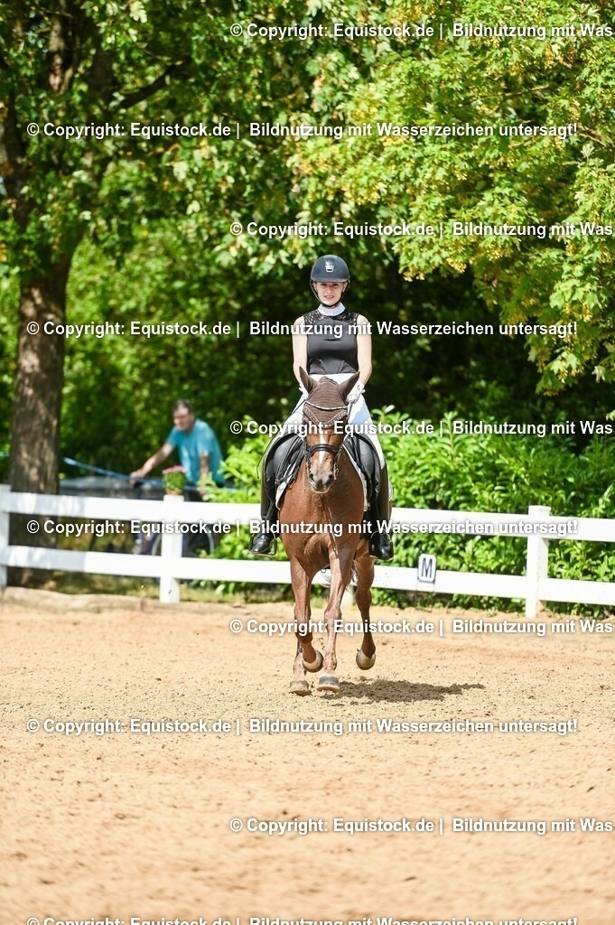 20230716_01_Dressurprüfung Kl.M_0327 | equistock