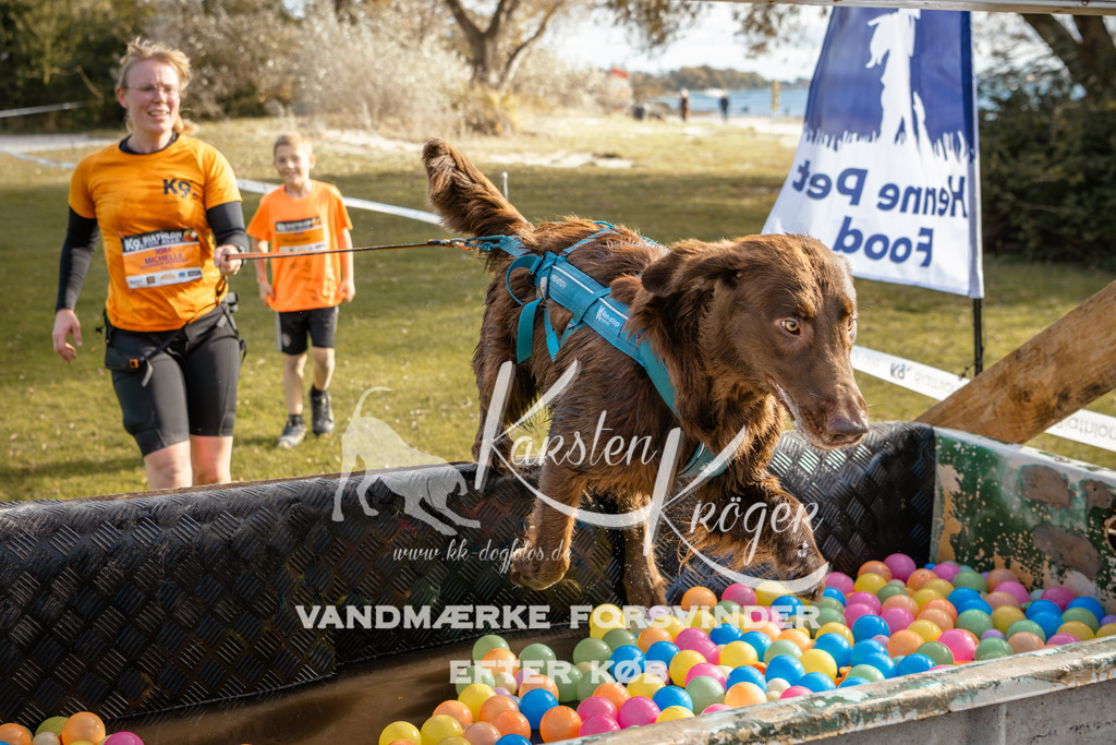 1500_ZZ95636-2 | kk-dogfotos