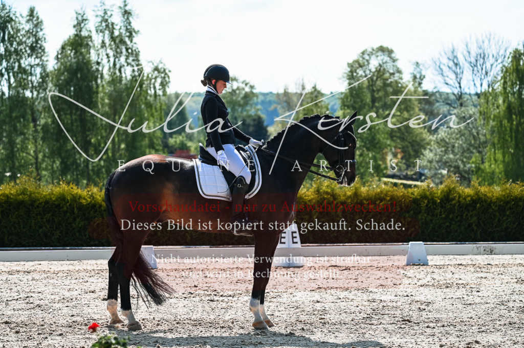20230513_JK-Röhrsdorf-10-0371 | Pferde- und Turnierfotografie in Westsachsen. Pferdeportraits, Auftragszeichnungen und intuitive Kunst.