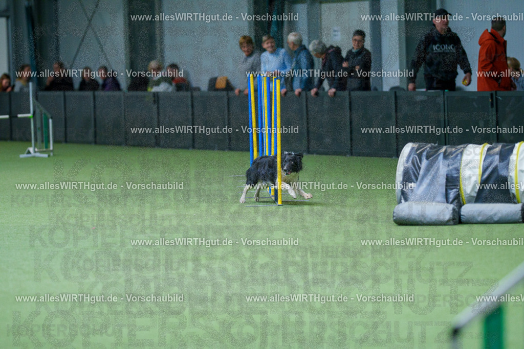 @allesWIRTHgut_Tierfotografie - www.allesWIRTHgut.de - 2604251101-7R500914 | Professionelle Tierfotografie in Mönchengladbach von Daniel Wirth (allesWIRTHgut). Liebevolle & natürliche Bilder von Hunden & Katzen für unvergessliche Erinnerungen.