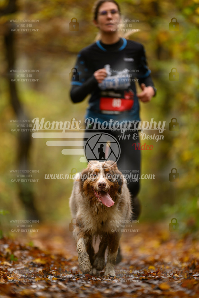 MompixPhotography_CD7S_DI_CCL-62 | mompixphotography