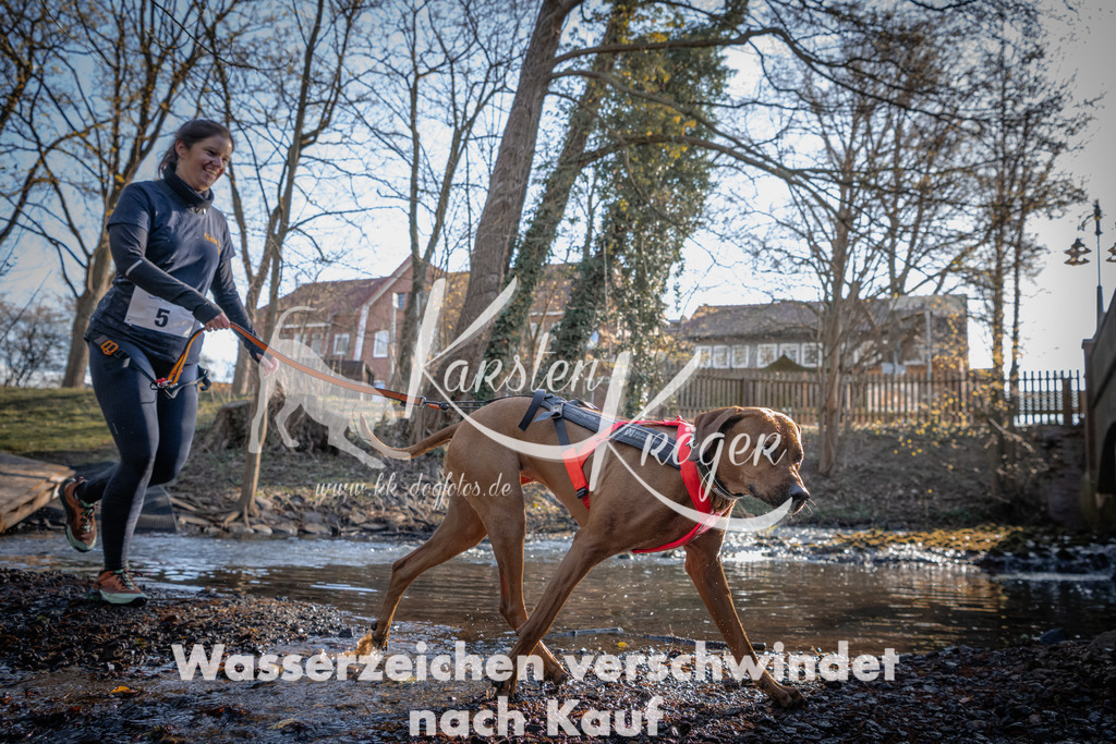 0814_ZZ90221-2 | kk-dogfotos