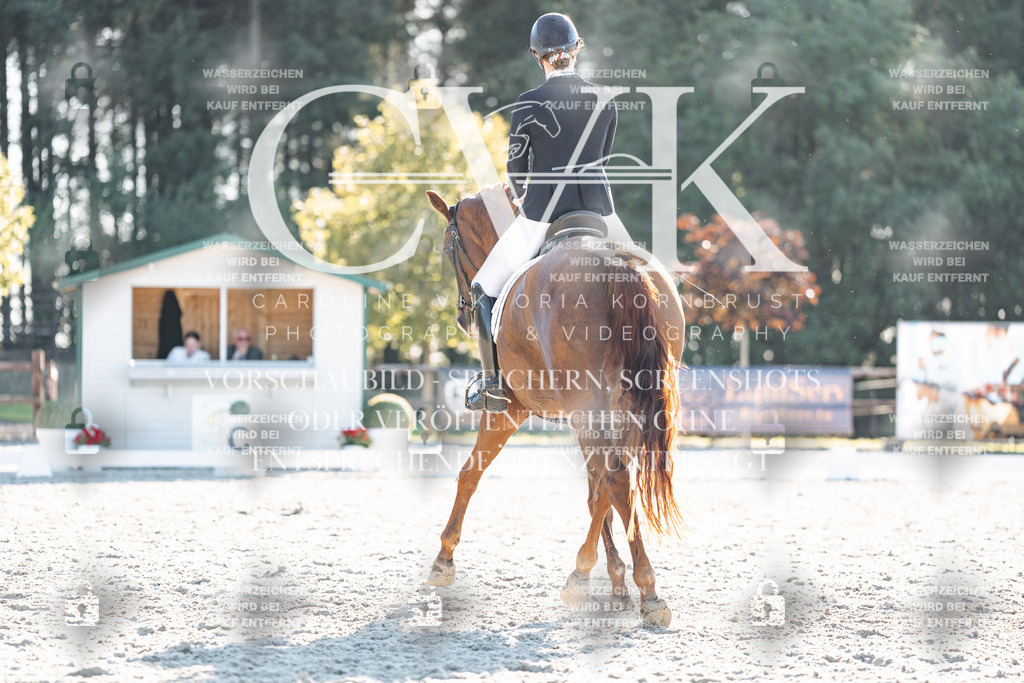 CK906954 | Turnierfotografie Pferdefotografie Trier Rheinland-Pfalz Pferdesport Reitsport Tierfotografie Sportfotografie Pferdevideo Pferdevideografie Equestrianvideography equestrianphotography  - Realisiert mit Pictrs.com