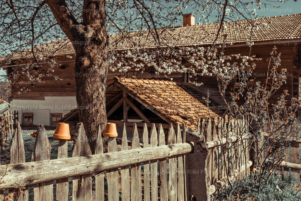 P1320314 | beatekidd-fotografie - Realisiert mit Pictrs.com