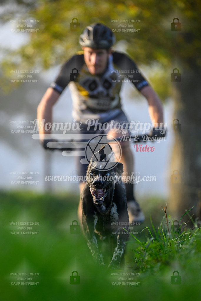 MompixPhotography_20TSB_E3_Bike-12 | PayLife