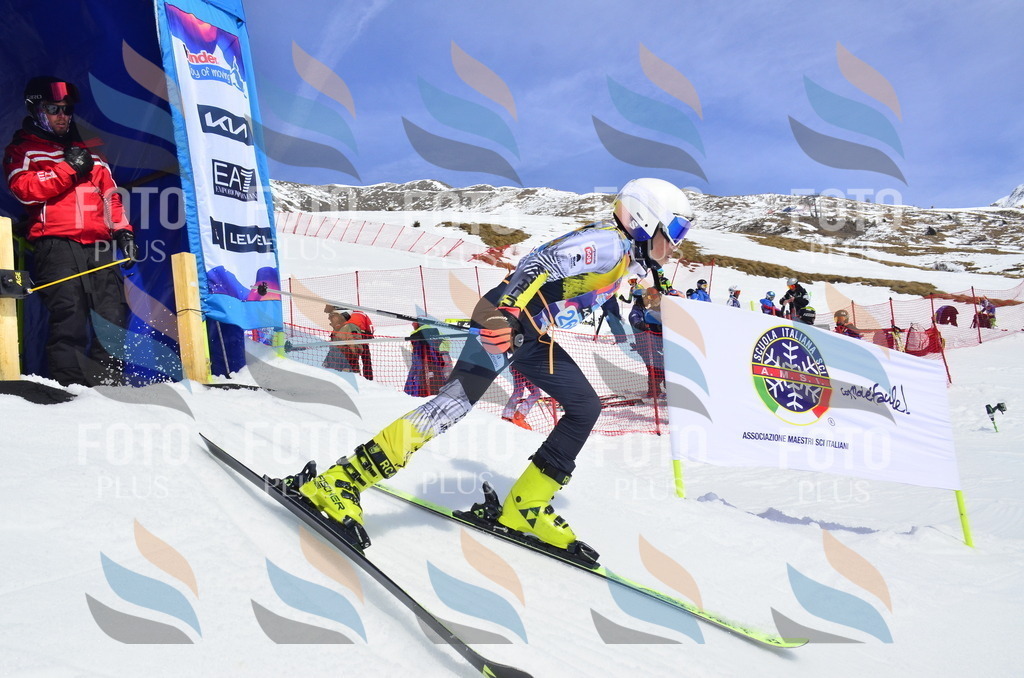 _ELE1984 | holidayphoto