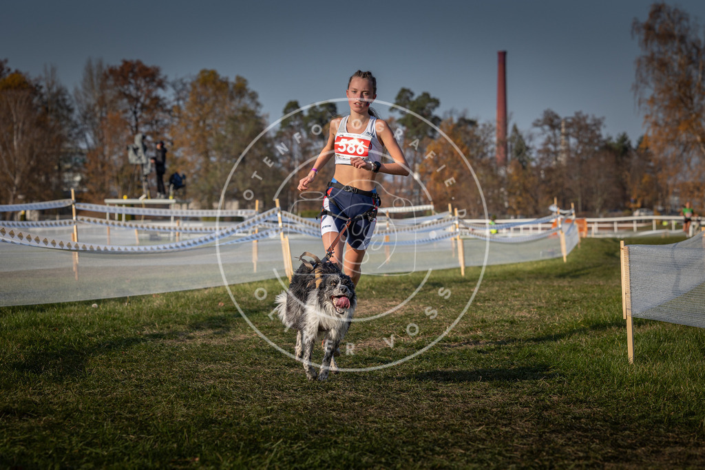 CaniXpix_0L8A9808 | Hundefotografie, Tierfotograf, Pfotenfotografie, Fotoshooting Hund, Hunde Portrait, Hundesport, Hundeportraits, Heideshooting, Hunde, Sportfotograf, Hundefotograf, Turnierhundsport, THS,  - Realisiert mit Pictrs.com
