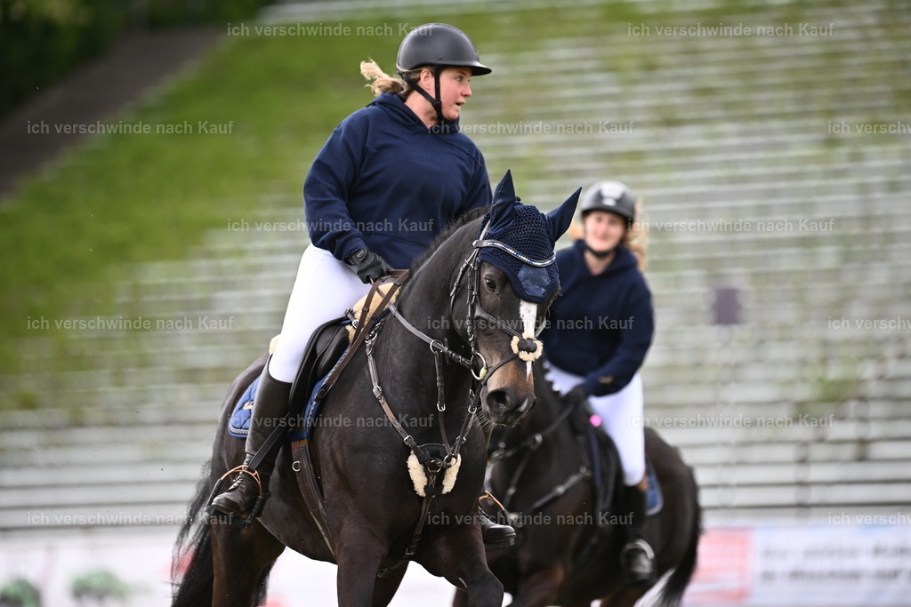PI26_Show_Sara_Landvogt_226_1830.JPG | working equitationturnier fotograf videograf stoibphotography marixx film working equitation deutschland reitsport turnierfotografie eventfotografie equestrian events