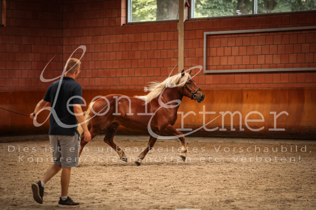SaFL00482 | Leoni Ertmer Photography - Realisiert mit Pictrs.com