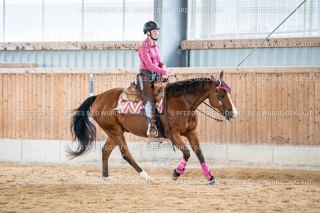 DSC01249 | Pferdegrafie