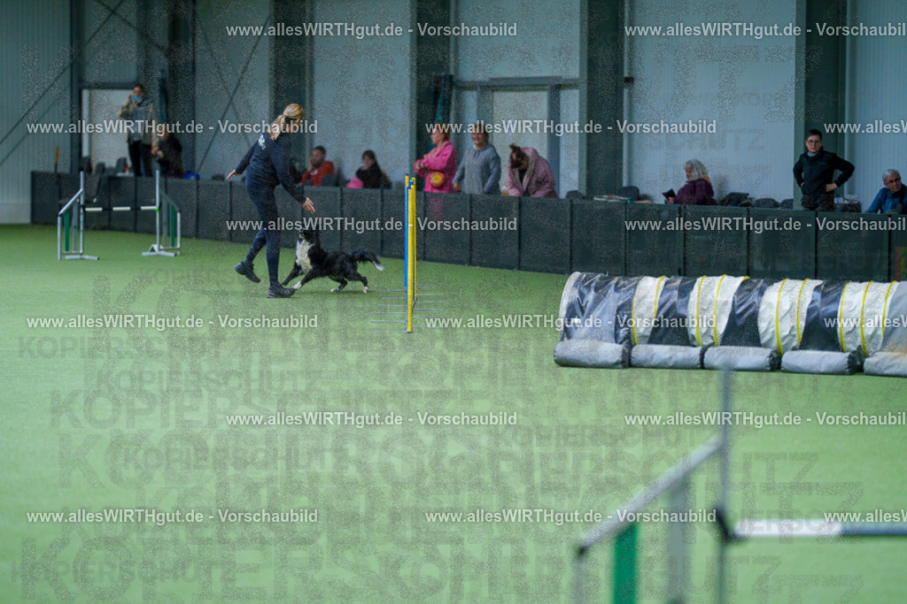 @allesWIRTHgut_Tierfotografie - www.allesWIRTHgut.de - 2604251046-7R500105 | Professionelle Tierfotografie in Mönchengladbach von Daniel Wirth (allesWIRTHgut). Liebevolle & natürliche Bilder von Hunden & Katzen für unvergessliche Erinnerungen.