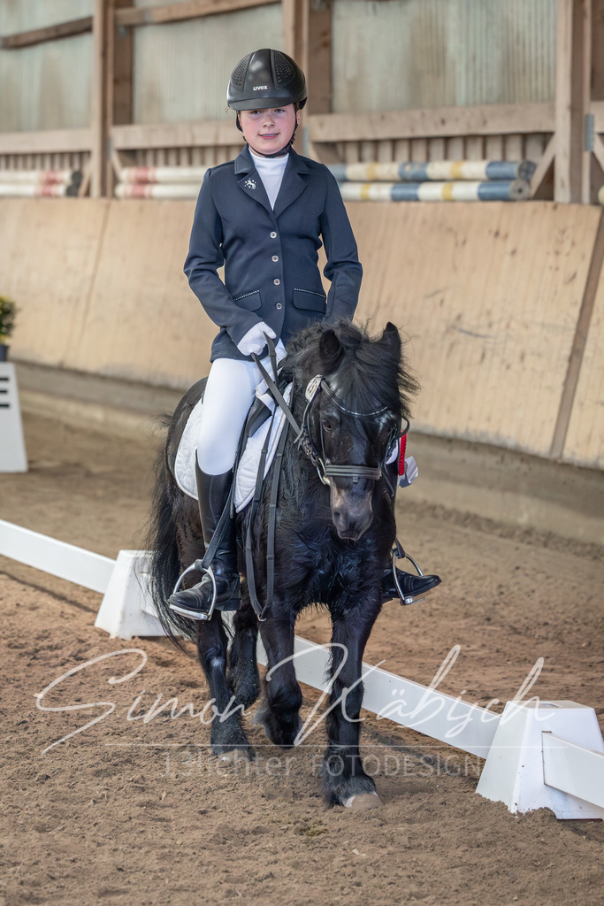 20251011-_3LI8149 | Tierfotografie Pferde, Hunde, Katzen, Haustiere.
Turnierfotografie Reitturniere, Reiten, Springreiten, Dressur in Hanau, dem Main-Kinzig-Kreis und dem Rhein-Main- Gebiet um Frankfurt