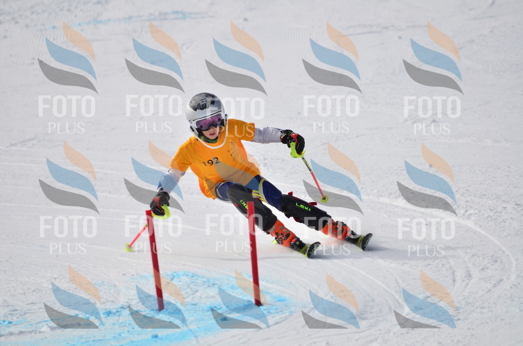 C8065 | holidayphoto