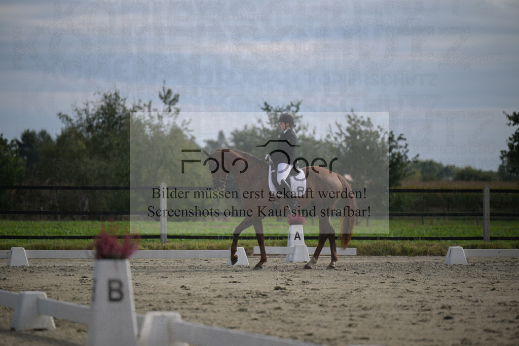 DOS_2593 | Entdecke hochwertige Reitturnierfotos von Foto Oger. Professionell, emotional und authentisch – jetzt Lieblingsmomente im Shop bestellen.Deutschlandweite Turnierfotografie. - Realisiert mit Pictrs.com