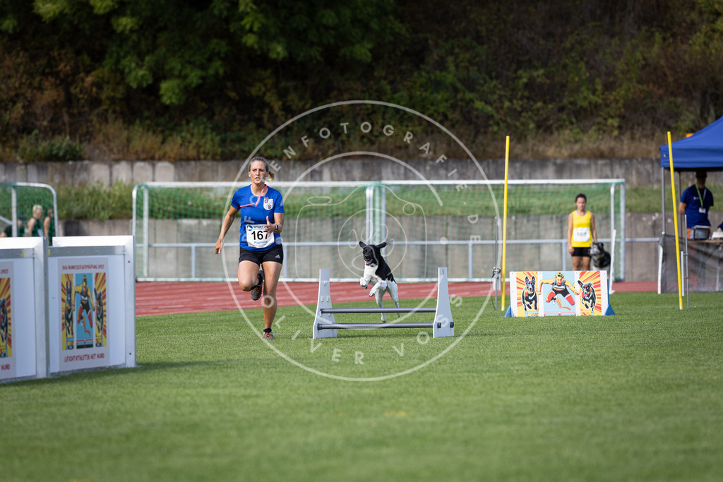 Pfotenfotografie_DV3A9790 | Hundefotografie, Tierfotograf, Pfotenfotografie, Fotoshooting Hund, Hunde Portrait, Hundesport, Hundeportraits, Heideshooting, Hunde, Sportfotograf, Hundefotograf, Turnierhundsport, THS,  - Realisiert mit Pictrs.com