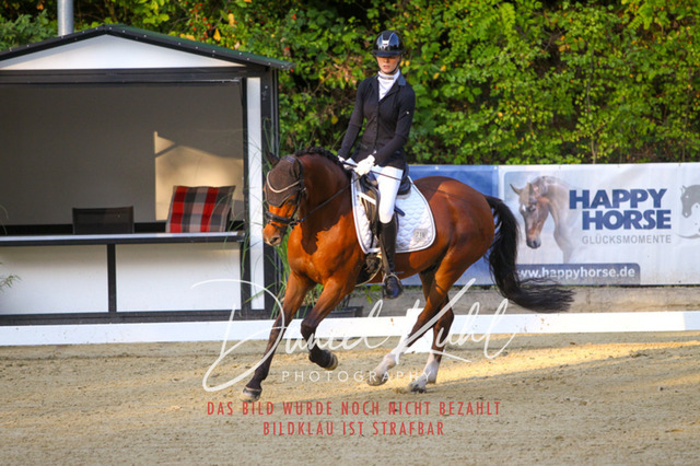 DKP41190 | Turniersportfotografie; Pferdefotografie; Dressurfotografie