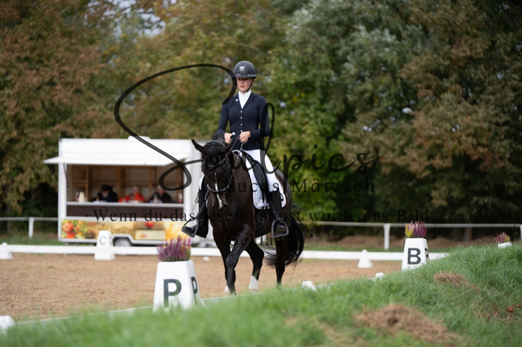 A7V05352 | Pferdefotograf