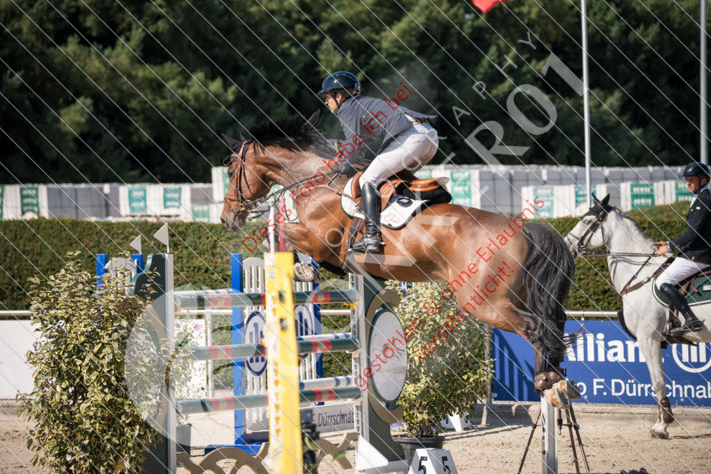 DSC_3678 | Sport-, Event- und Tierfotos in Profiqualität. Einfach auswählen, bestellen und herunterladen. Dein Moment – perfekt festgehalten.