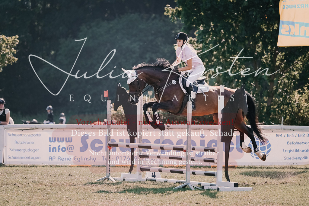 DSC_4788 | Pferde- und Turnierfotografie in Westsachsen. Pferdeportraits, Auftragszeichnungen und intuitive Kunst.