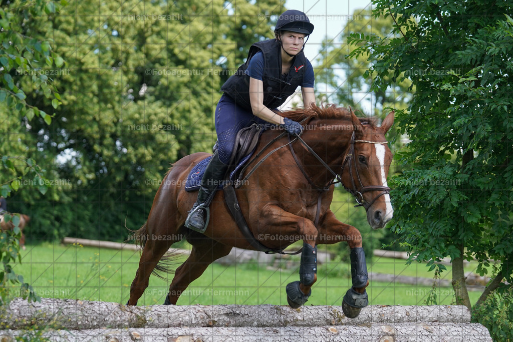 20240622-FAH06938 | Turnierfotografen Bayern, Reitsportbilder aus dem Geländekurs mit Felix Etzel auf dem Gut Waitzacker 2024