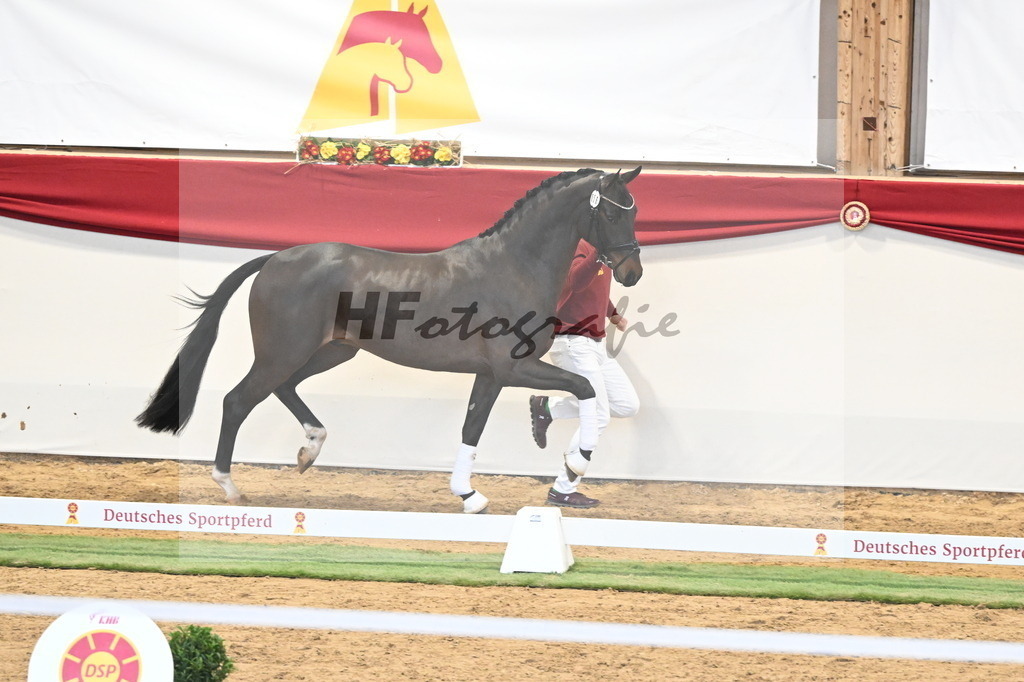 Kat.-Nr. 56 v. Feliciano_Breitner-Rötzer_3260401 | hf-fotografie - Realizzato con Pictrs.com