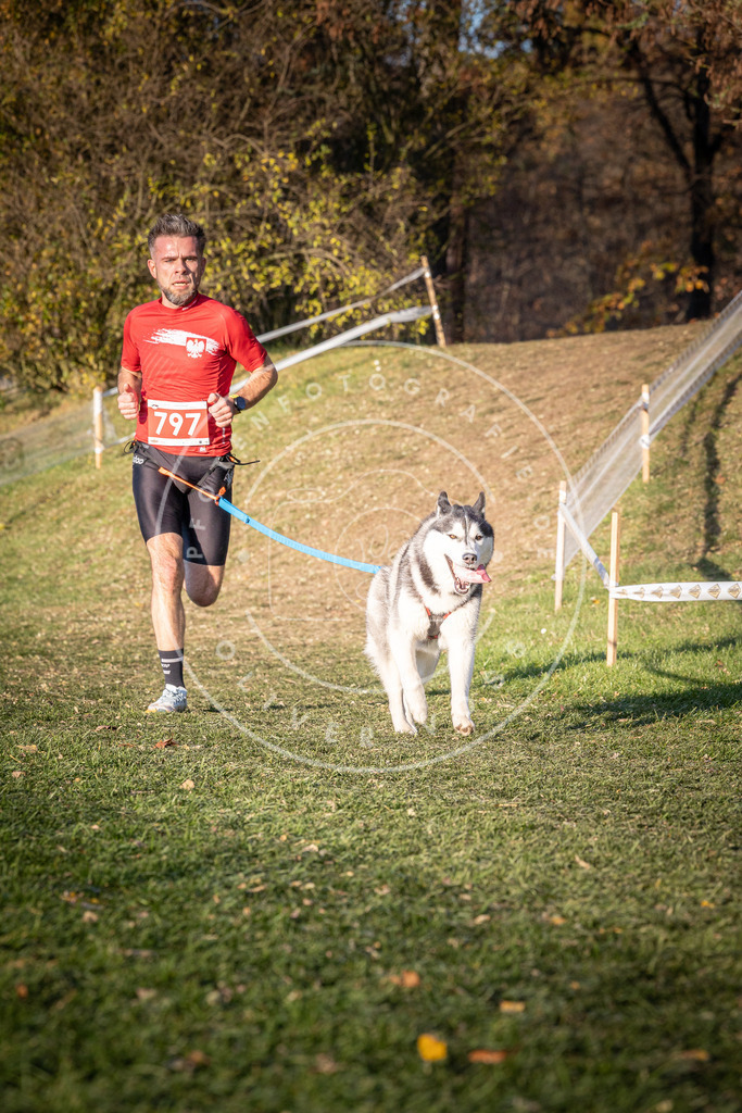 CaniXpix_0L8A0347 | Hundefotografie, Tierfotograf, Pfotenfotografie, Fotoshooting Hund, Hunde Portrait, Hundesport, Hundeportraits, Heideshooting, Hunde, Sportfotograf, Hundefotograf, Turnierhundsport, THS,  - Realisiert mit Pictrs.com