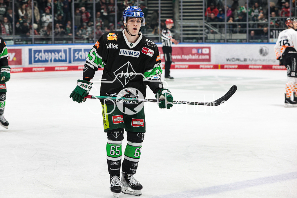 Augsburger Panther - Grizzlys Wolfsburg | Niklas LAENGER (AEV #65) in Aktion