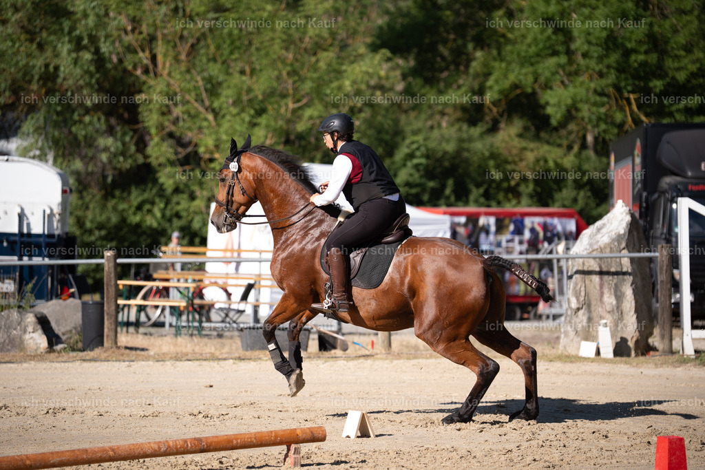 WL_SP_140_Stoibphotography_SO14453 | working equitationturnier fotograf videograf stoibphotography marixx film working equitation deutschland reitsport turnierfotografie eventfotografie equestrian events