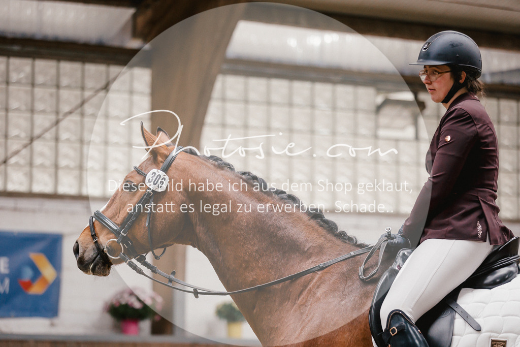 3I6A6911 | Stimmungsvolle Portraits und Reitsportfotografie im Ruhrgebiet und im Münsterland.

Pferdefotografie, Hundefotografie, Tierfotografie, Reportagen, Portraits von Tier und Mensch, Turnierfotografie in Bochum, Recklinghausen, Marl, Haltern am See, Dülmen.. - Realisiert mit Pictrs.com