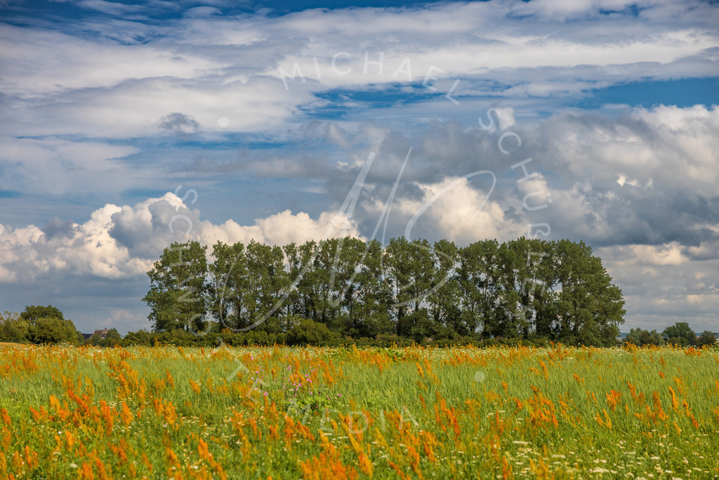2023-07-24 Ostsee Ahrenshoop 001 | Schwotte Media - Realisiert mit Pictrs.com