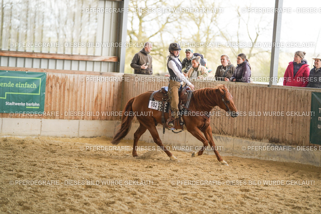 DSC08890 | Pferdegrafie