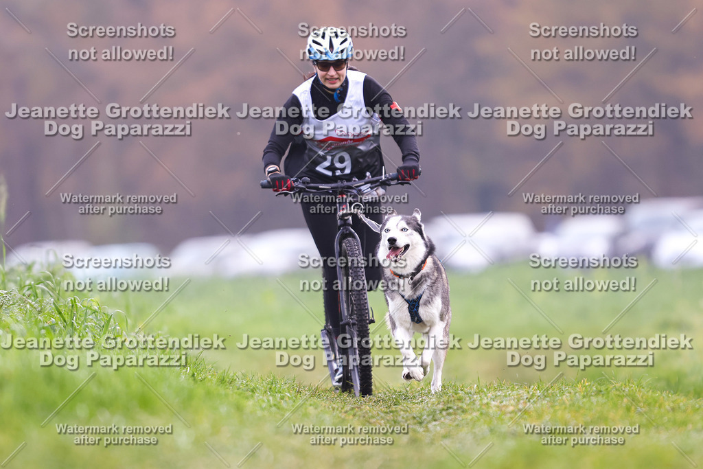 Dog Paparazzi - Visbeck 25 -301 | Dog Paparazzi Jeanette Grottendiek Fotografie & Videografie - Realisiert mit Pictrs.com