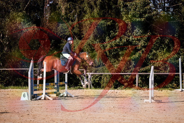 2026_10_03_Siefer-Hof_155400_Z81_73811447 | Professionelle Reitsport-, Turnier- und Eventfotografie von Robert Broda. Galerien mit ausgewählten und bearbeiteten Bildern direkt online ansehen und bestellen.