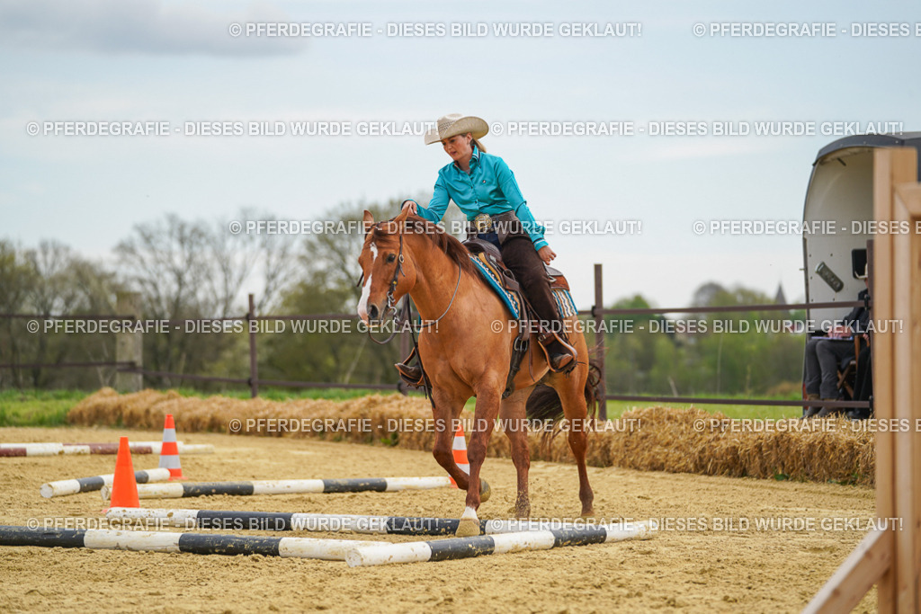 DSC03079 | Pferdegrafie