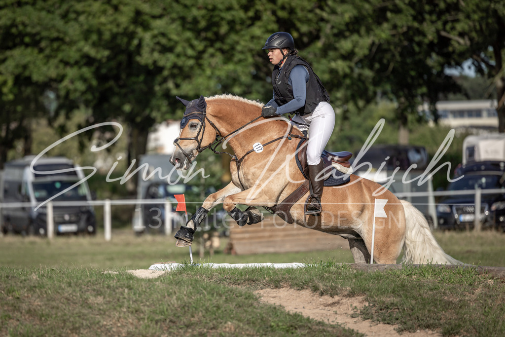 20250907-_3LI8781 | Tierfotografie Pferde, Hunde, Katzen, Haustiere.
Turnierfotografie Reitturniere, Reiten, Springreiten, Dressur in Hanau, dem Main-Kinzig-Kreis und dem Rhein-Main- Gebiet um Frankfurt