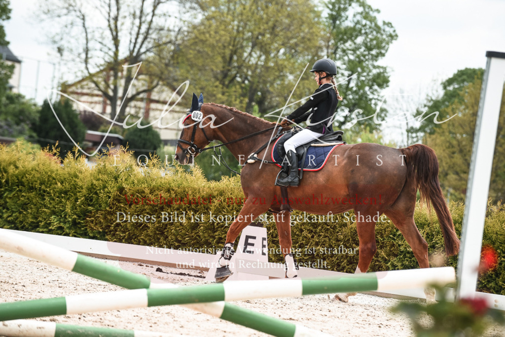 20230518_JK-Röhrsdorf-10-426 | Pferde- und Turnierfotografie in Westsachsen. Pferdeportraits, Auftragszeichnungen und intuitive Kunst.