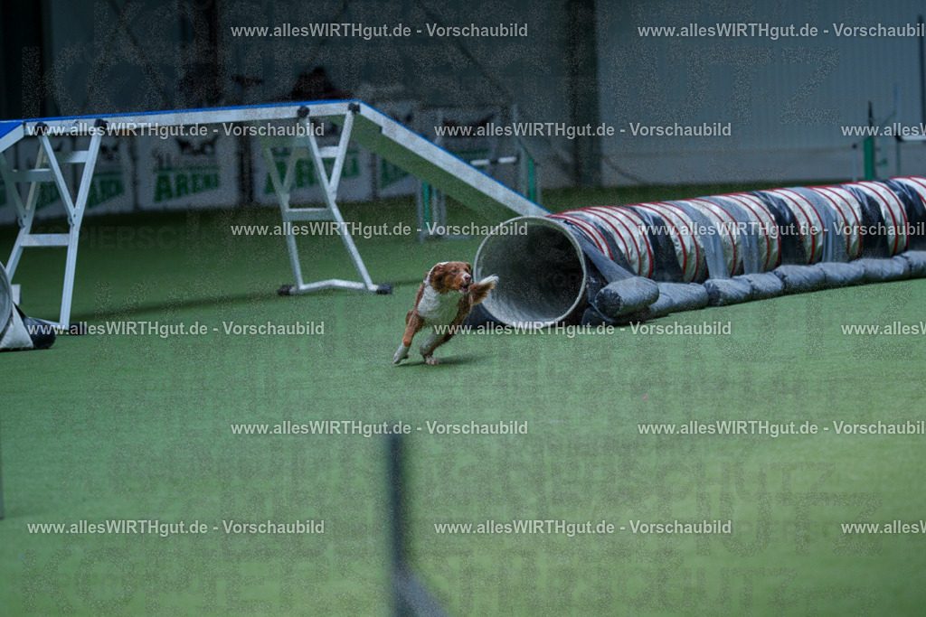 @allesWIRTHgut_Tierfotografie - www.allesWIRTHgut.de - 2604251226-7R501721 | Professionelle Tierfotografie in Mönchengladbach von Daniel Wirth (allesWIRTHgut). Liebevolle & natürliche Bilder von Hunden & Katzen für unvergessliche Erinnerungen.
