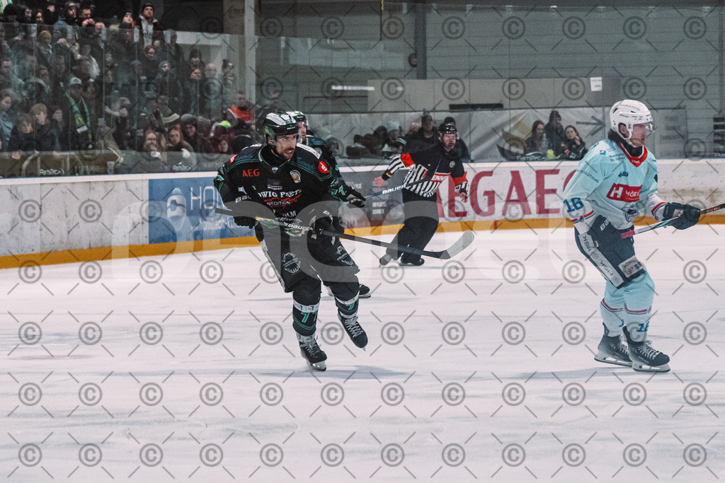 Alligators_vs_Heilbronn_08_02_2026-28 | Höchstadt Alligators Fotogalerie: Eishockey-Action aus Franken. Professionelle Spielfotos, Portraits & Stadionbilder zum Download. Jetzt entdecken! - Realisiert mit Pictrs.com