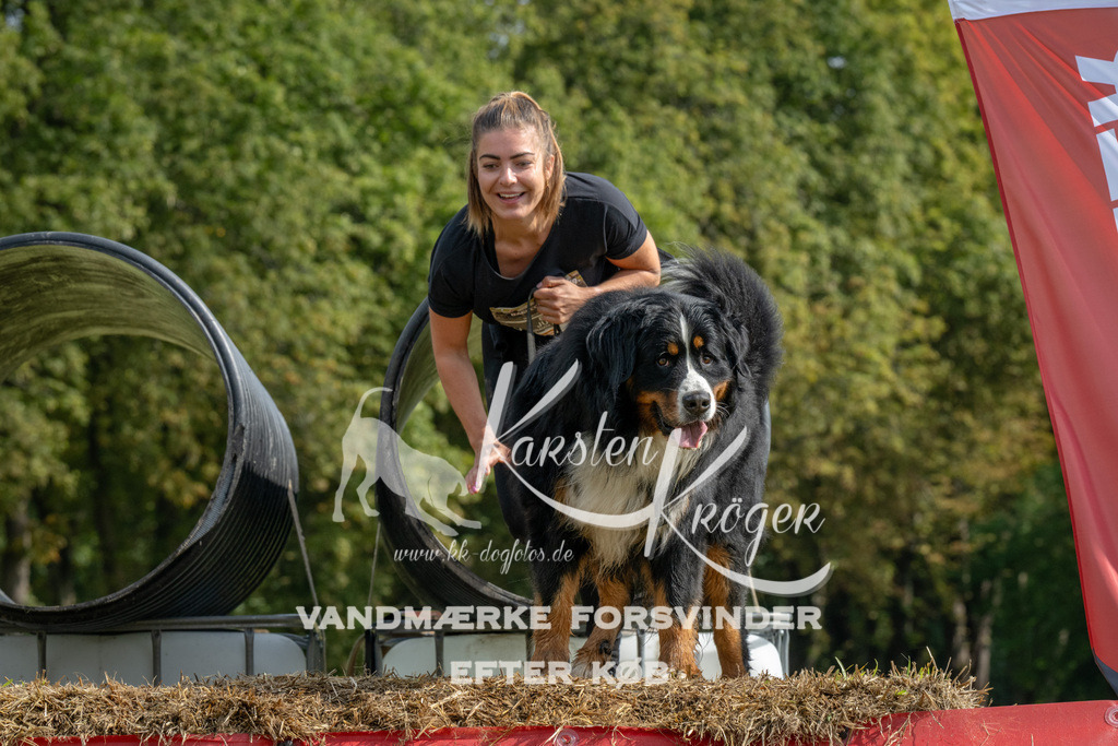 1135_ZZ94894 | kk-dogfotos