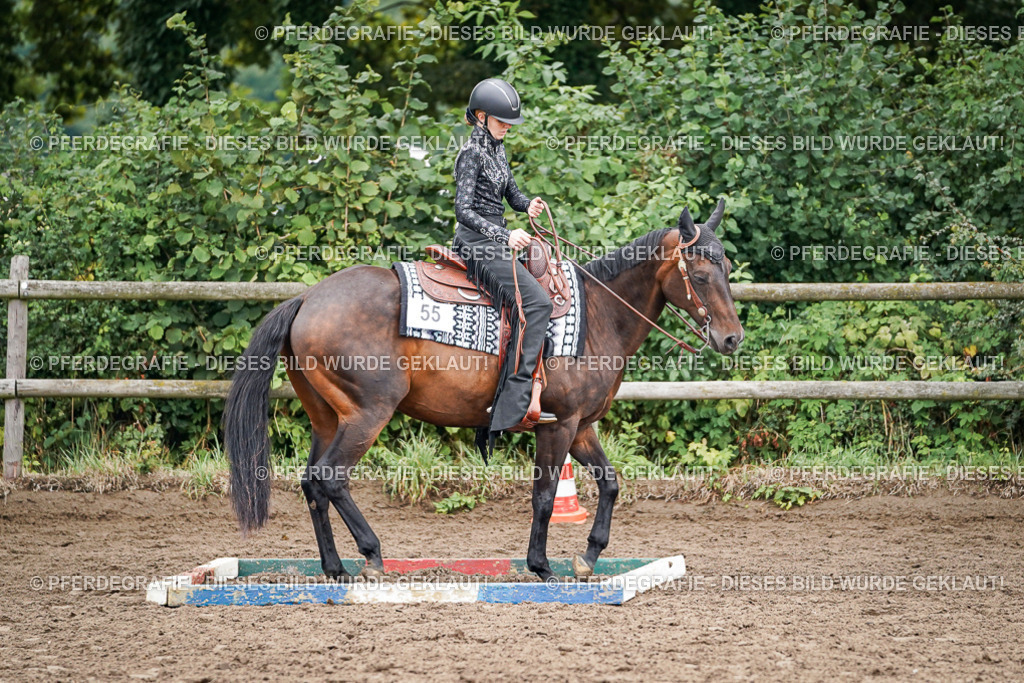 DSC03151 | Pferdegrafie