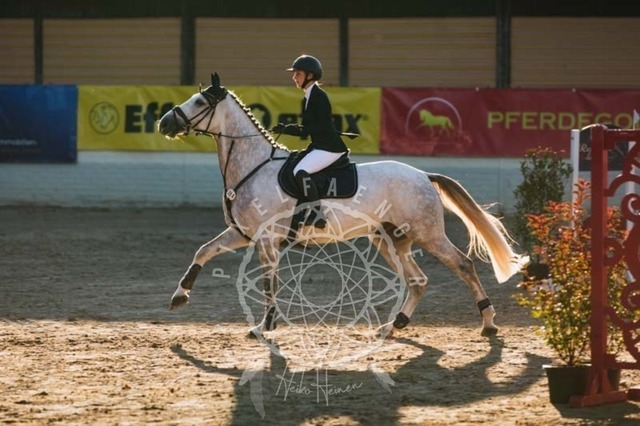 2B4A9994 | pixelfaenger - Realisiert mit Pictrs.com