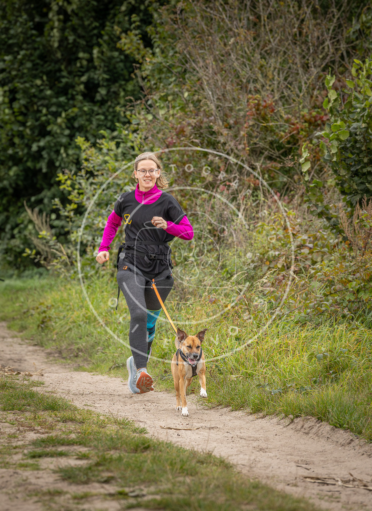 Pfotenfotografie_DV3A6357 | Hundefotografie, Tierfotograf, Pfotenfotografie, Fotoshooting Hund, Hunde Portrait, Hundesport, Hundeportraits, Heideshooting, Hunde, Sportfotograf, Hundefotograf, Turnierhundsport, THS,  - Realisiert mit Pictrs.com