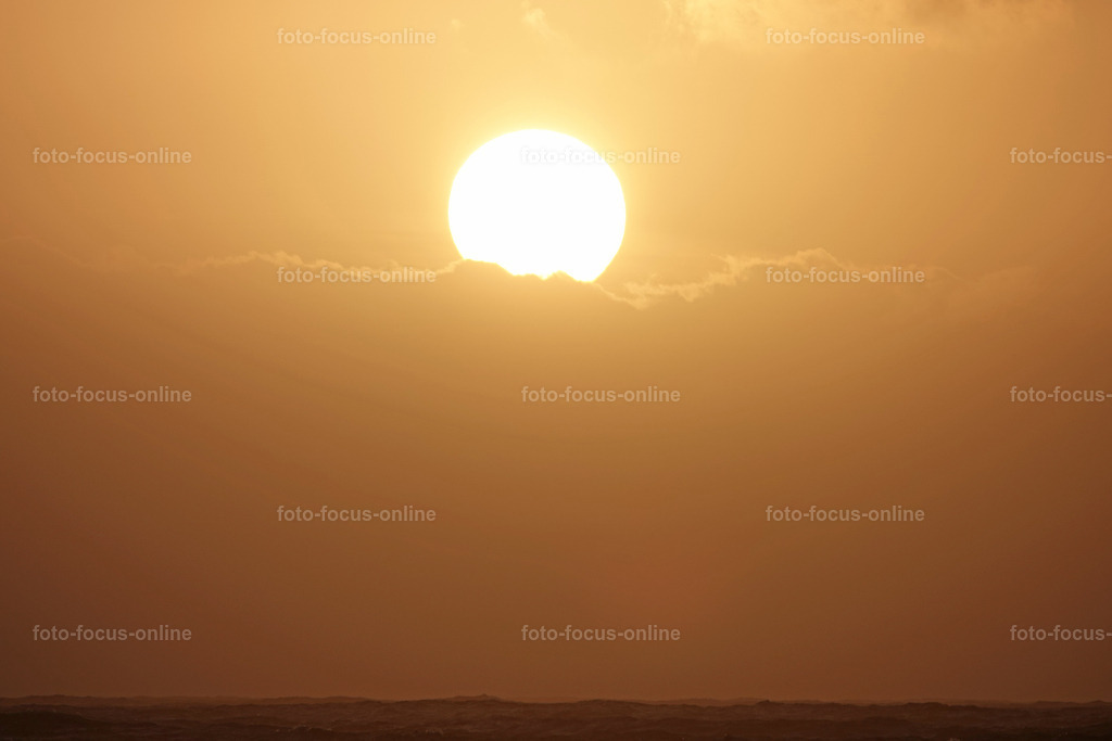 67 | foto-focus-online