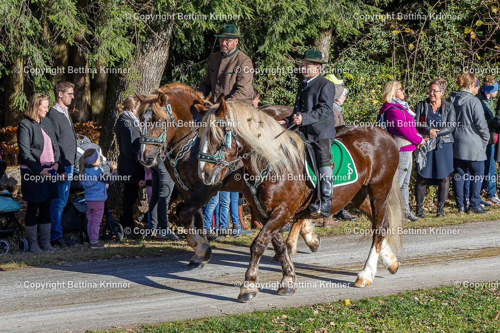 LBT25-824 | foto-bettina-krinner - Realisiert mit Pictrs.com