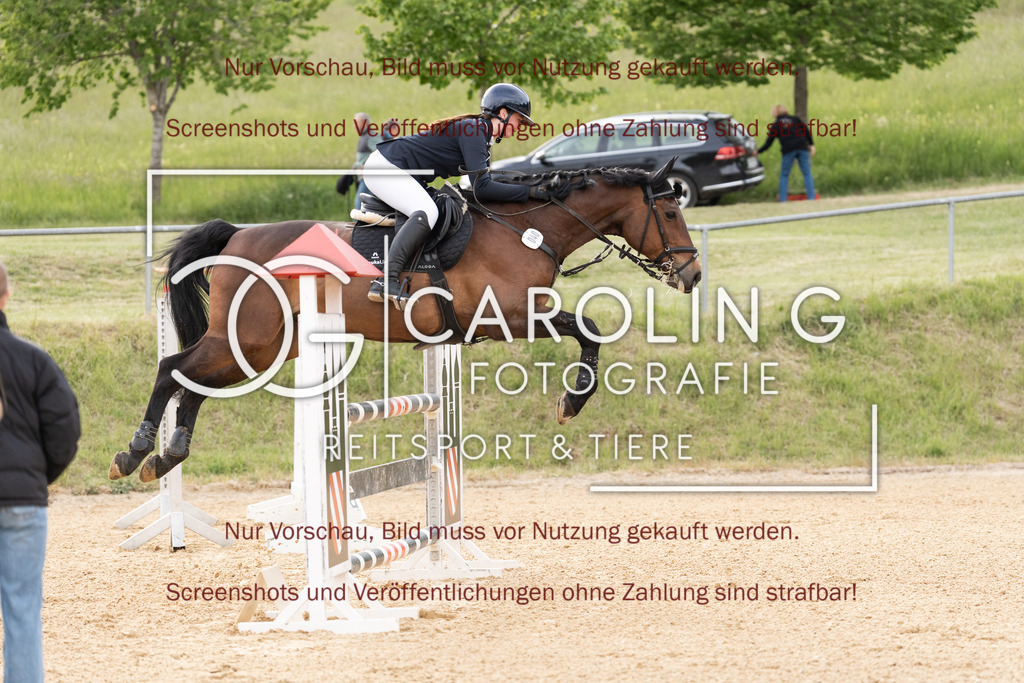 DSC00507 | Jugendturnier_Ehingen_Mai_2026, Anna_Bassani, Adonis_322