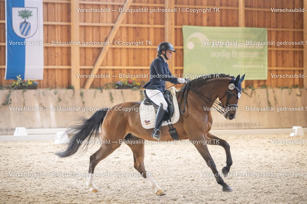 _D5A5964 | Emotionale Pferde- & People-Fotografie rund um Heidelberg, Leimen & Umgebung. Natürliche Fotos von Pferd, Mensch & Familie. Jetzt Termin sichern!