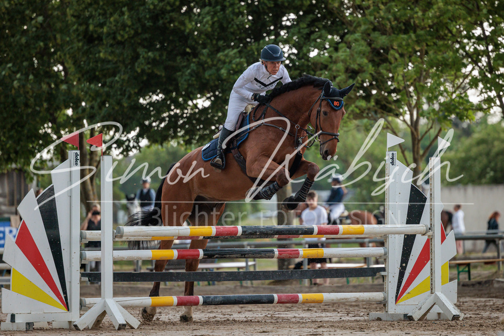 20260531-_3LI3520 | Tierfotografie Pferde, Hunde, Katzen, Haustiere.
Turnierfotografie Reitturniere, Reiten, Springreiten, Dressur in Hanau, dem Main-Kinzig-Kreis und dem Rhein-Main- Gebiet um Frankfurt
